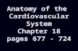 Anatomy of the Cardiovascular System Chapter 18 pages 677 - 724.