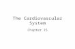 The Cardiovascular System Chapter 15. Heart is two pumps in one: Right side – pulmonary circulation Left side – systemic circulation Heart → Arteries.