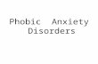 Phobic Anxiety Disorders. What is a phobia ? Persistent irrational fear of an object, activity or situation and a wish to avoid it.