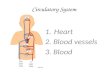 Circulatory System 1.Heart 2. Blood vessels 3. Blood.