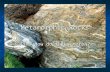 Metamorphic Rocks Aim: How do rocks morph?. 1. Metamorphic means… a. “" and “" means to a. “Meta" and “Morph" means to change form b. Any rock can become.