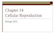 Chapter 14 Cellular Reproduction Biology 3201. Introduction  One of the important life functions of living things is their ability to reproduce.  Reproduction.
