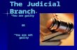 The Judicial Branch “You are guilty” OR “You are not guilty”