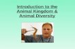 Introduction to the Animal Kingdom & Animal Diversity.