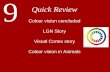 9 Quick Review Colour vision concluded LGN Story Visual Cortex story Colour vision in Animals.