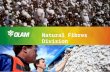Natural Fibres Division. The Brand Behind The Brands 2 Olam History: Rapid Growth & Expansion Transitioned from a Trader to an Integrated Global Supply.