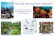 How do new species originate?   How do we account for the great diversity of life in the biosphere?