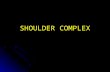SHOULDER COMPLEX. Extrinsic Shoulder Muscles Review the following: Review the following: Pectoralis major Pectoralis minor Serratus anterior Trapezius.