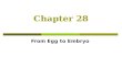 Chapter 28 From Egg to Embryo. Fertilization  ~ 300 million sperm enter female reproductive tract, most are lost  ~2000-5000 reach egg  Fertilization.