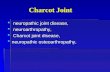 Charcot Joint  neuropathic joint disease,  neuroarthropathy,  Charcot joint disease,  neuropathic osteoarthropathy,