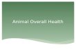 Animal Overall Health.  What are they?  Measurements of the body’s most basic functions.  Four main vital signs are:  Heart beat (pulse)  Respiration.