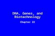 DNA, Genes, and Biotechnology Chapter 22. Structure of the Hereditary Material Experiments in the 1950s showed that DNA is the hereditary material Scientists.