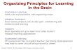 Jochen Triesch, UC San Diego, triesch 1 Organizing Principles for Learning in the Brain Associative Learning: Hebb rule and variations,