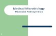 1 Microbial Pathogenesis Medical Microbiology. 2 Definitions Microbial pathogenesis—process of causing disease Colonization—presence of microbes at site.