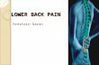LOWER BACK PAIN Erestain-Garan. CASE Age: 45 years old CC: Lower back pain Occupation: office secretary.