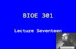 BIOE 301 Lecture Seventeen. Guest Speaker Jay Brollier World Camp Malawi.