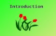Introduction. II. Ten tips on learning English! I. Why do we need to learn English? III. Requirements in & after class. IV. Learn English through Websites.