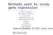 Methods used to study gene expression Slot blots Northern blots In situ hybridization RNA protection assay Primer extension dd-RTPCR RT-PCR Quantatitative.