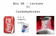 Bio 98 - Lecture 11 Carbohydrates a.k.a. Sugars, Carbs…