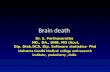 Brain death Dr. S. Parthasarathy MD., DA., DNB, MD (Acu), Dip. Diab.DCA, Dip. Software statistics- Phd Mahatma Gandhi Medical college and research institute,