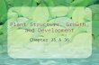 Plant Structure, Growth, and Development Chapter 35 & 36.