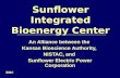 Sunflower Integrated Bioenergy Center An Alliance between the Kansas Bioscience Authority, NISTAC, and Sunflower Electric Power Corporation SIBC.