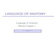 LANGUAGE OF ANATOMY Language of Anatomy Martini Chapter 1 Credit: Portland Community College Edited 2009.