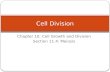 Chapter 10: Cell Growth and Division Section 11.4: Meiosis Cell Division.