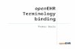 OpenEHR Terminology binding Thomas Beale. © Ocean Informatics 2010 Problem overview.
