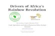 Drivers of Africa's Rainbow Revolution By Lindiwe Majele Sibanda (Phd) Food, Agriculture and Natural Resources Policy Analysis Network policy@fanrpan.org.