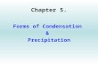 Chapter 5. Forms of Condensation & Precipitation.