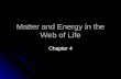 Matter and Energy in the Web of Life Chapter 4. What Are Atoms? 1) Smallest particles that retain properties of an element 1) Smallest particles that.