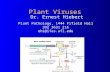 Plant Viruses Dr. Ernest Hiebert Plant Pathology, 1444 Fifield Hall 392 3631 216 ehi@ifas.ufl.edu.