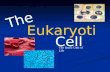 The Eukaryotic Cell The Basic Unit of Life. Why a Eukaryotic Cell? Eu= trueEu= true Eukaryotic CellEukaryotic Cell Has membrane bound-organellesHas membrane.