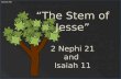 Lesson 34a “The Stem of Jesse” 2 Nephi 21 and Isaiah 11.