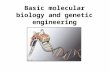 Basic molecular biology and genetic engineering. The central dogma RNA Protein DNA.