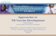 Approaches to TB Vaccine Development Peg Willingham Aeras Global TB Vaccine Foundation Beyond BCG: Towards an Effective New Vaccine for TB All Party Parliamentary.