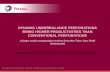 DYNAMIC UNDERBALANCE PERFORATIONS BRING HIGHER PRODUCTIVITIES THAN CONVENTIONAL PERFORATIONS A large scale comparative review from the Tunu Gas Field (Indonesia)