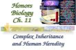 Honors Biology Ch. 11 Complex Inheritance and Human Heredity Complex Inheritance and Human Heredity.