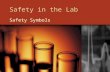 Safety in the Lab Safety Symbols. What do you think the name of this symbol is and what does it mean?