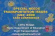 SPECIAL NEEDS TRANSPORTATION ISSUES JULY, 2009 CASE CONFERENCE SPECIAL NEEDS TRANSPORTATION ISSUES JULY, 2009 CASE CONFERENCE Cathy Staggs State Department.