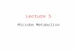 Lecture 5 Microbe Metabolism. Metabolism Metabolism: Metabolic Pathway: