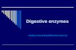 Digestive enzymes mirka.rovenska@lfmotol.cuni.cz.