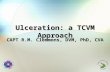 Ulceration: a TCVM Approach CAPT R.M. Clemmons, DVM, PhD, CVA.
