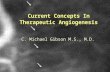Current Concepts In Therapeutic Angiogenesis C. Michael Gibson M.S., M.D.