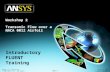 WS2-1 ANSYS, Inc. Proprietary © 2009 ANSYS, Inc. All rights reserved. April 28, 2009 Inventory #002601 Introductory FLUENT Training Workshop 2 Transonic.