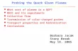 Probing the Quark Gluon Plasma l What sort of plasma is a QGP? l RHIC and its experiments l Collective flow l Transmission of color-charged probes l Transport.