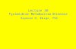 Lecture 30 Pyrimidine Metabolism/Disease Raymond B. Birge, PhD.