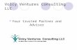 Volcy Ventures Consulting LLC Your trusted Partner and Advisor.