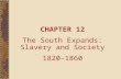 CHAPTER 12 The South Expands: Slavery and Society 1820–1860.